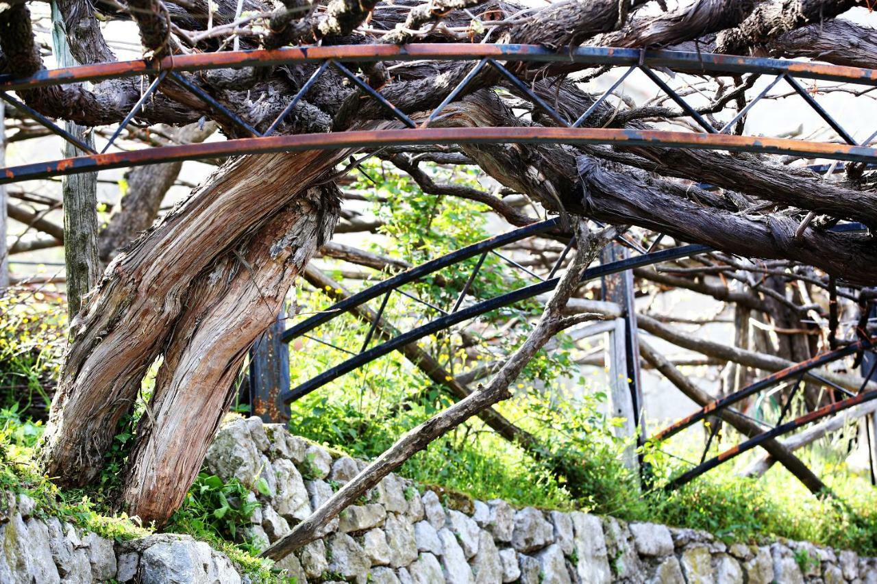 Il Raduno Villa Tramonti Exterior photo